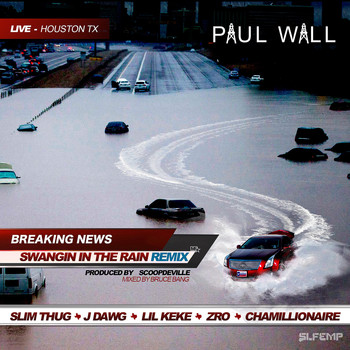 Paul Wall - Swangin In the Rain (Remix) [feat. Slim Thug, J-Dawg, Lil Keke, Z-Ro, & Chamillionaire] - Single (Explicit)