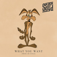 Saga - What You Want - Single (Explicit)