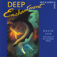 David Sun - Deep Enchantment