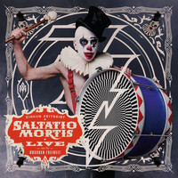 Saltatio Mortis - Zirkus Zeitgeist (Live aus der Grossen Freiheit)