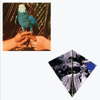 Andrew Bird - Are You Serious (Deluxe Edition)