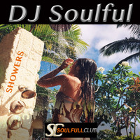 DJ Soulful - Showers