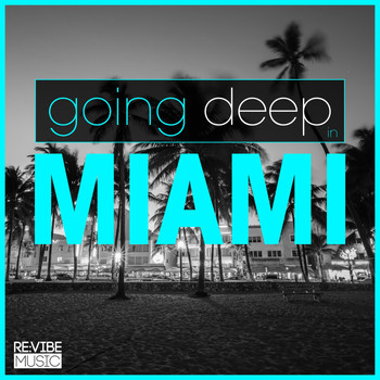 Various Artists - Going Deep in Miami