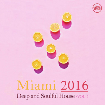 Various Artists - Miami 2016: Deep and Soulful House, Vol. 1