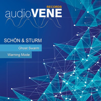 Schon & Sturm - Ghost Swarm
