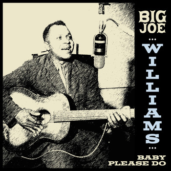 Big Joe Williams - Big Joe Williams - Baby Please Do