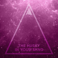 The Husky - In Your Mind