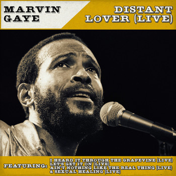 marvin gaye distant lover mp3