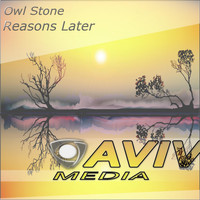Owl Stone - Reasons Later