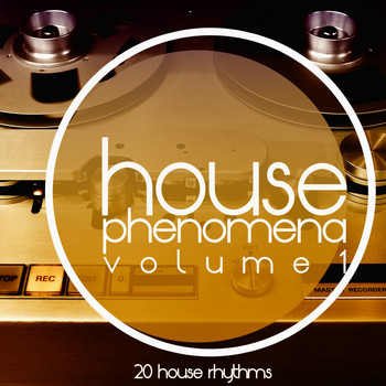 Various Artists - House Phenomena, Vol. 1