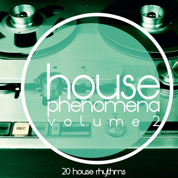 Various Artists - House Phenomena, Vol. 2
