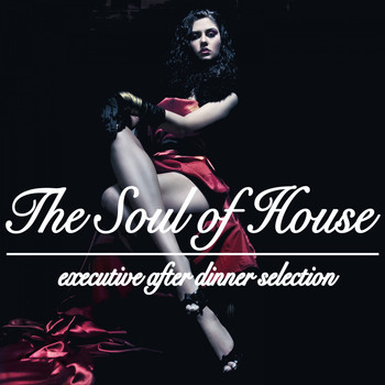 Various Artists - The Soul of House (Executive After Dinner Selection)