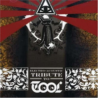 Tool - Electro-acoustic Tribute To Tool,the