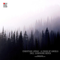 Christian Lepah - A Choir of Angels (Incl. Dubphone Remix)