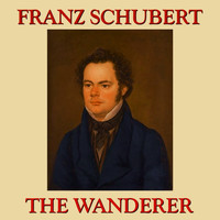Caspar da Salò Quartet - Franz Schubert: The Wanderer