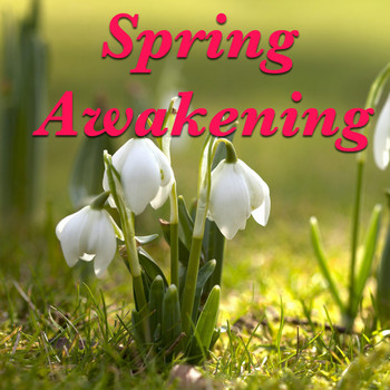 Various Artists - Spring Awakening