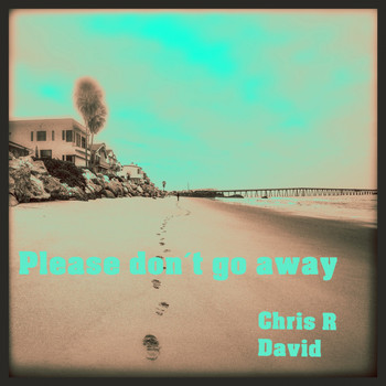 Chris R David - Please Don't Go Away