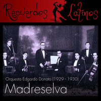 Edgardo Donato - Madreselva, Orquesta Edgardo Donato (1929 - 1930)