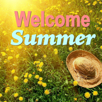 Various Artists - Welcome Summer