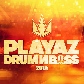 Various Artists - Playaz Drum & Bass 2014