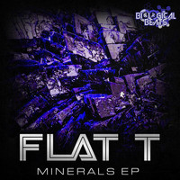 Flat T - Minerals EP