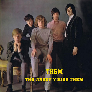 Them - The Angry Young Them!