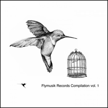 Various Artists - Flymusik Records Compilation, Vol. 1