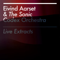 Eivind Aarset - Live Extracts