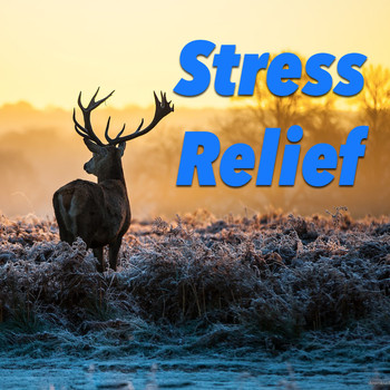 Various Artists - Stress Relief