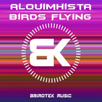 Alquimhista - Birds Flying
