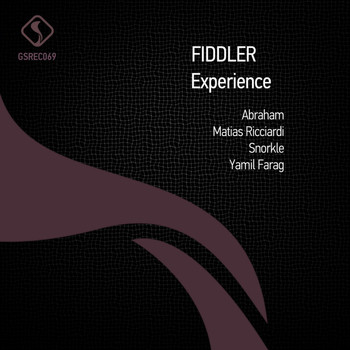 Fiddler - Experience