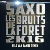 Saxo - Les Bruits de la Forêt 2016 Nils van Zandt Extended Mix