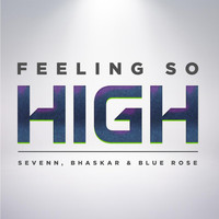 Sevenn - Feeling So High (Extended Mix)