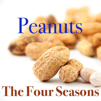 The Four Seasons - Peanuts
