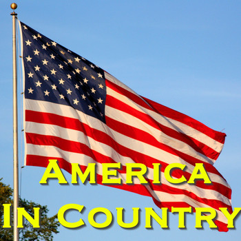Various Artists - America In Country