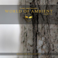 Stars Over Foy - Planet Ambi Pres. World of Ambient, Pt. II (Music for Relaxation)