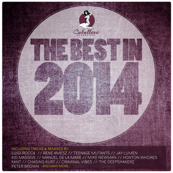 Various Artists - The Best in 2014