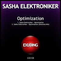Sasha Elektroniker - Optimization