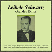 Leibele Schwartz - Grandes Exitos