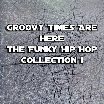Various Artists - Groovy Times Are Here: The Funky Hip Hop Collection 1