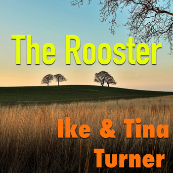 Ike & Tina Turner - The Rooster
