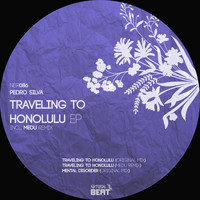 Pedro Silva - Traveling to Honolulu