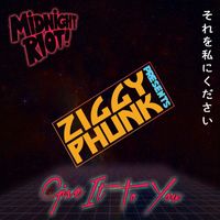 Ziggy Phunk - Give It to You