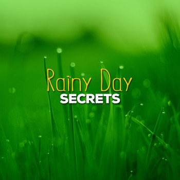 Rain - Rainy Day Secrets