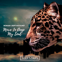 Roman Depthsound - Move In Deep My Soul