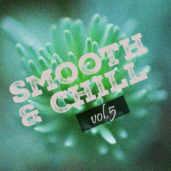 Various Artists - Smooth & Chill, Vol. 5