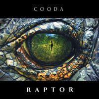 Cooda - Raptor