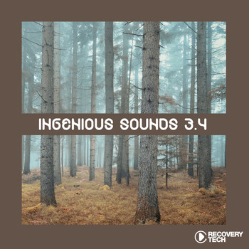 Various Artists - Ingenious Sounds, Vol. 3.4 (Explicit)