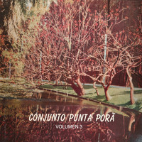 Conjunto Punta Porá - Volumen 3