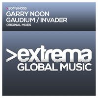 Garry Noon - Gaudium / Invader
